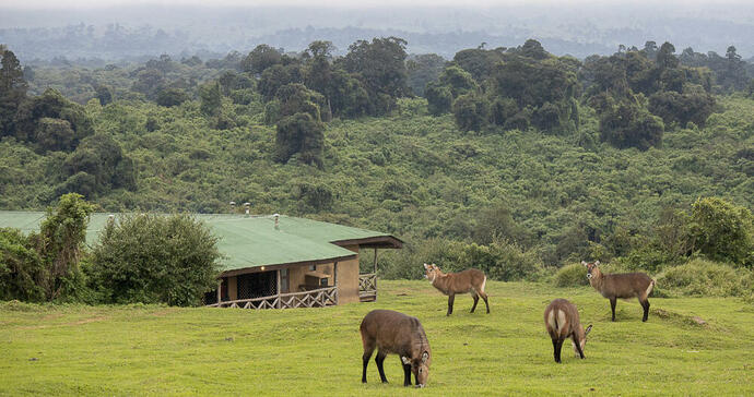 Rhino Lodge Ngorongoro 